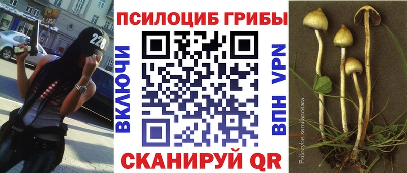 где купить наркоту  Староминская  Псилоцибиновые грибы MAGIC MUSHROOMS 